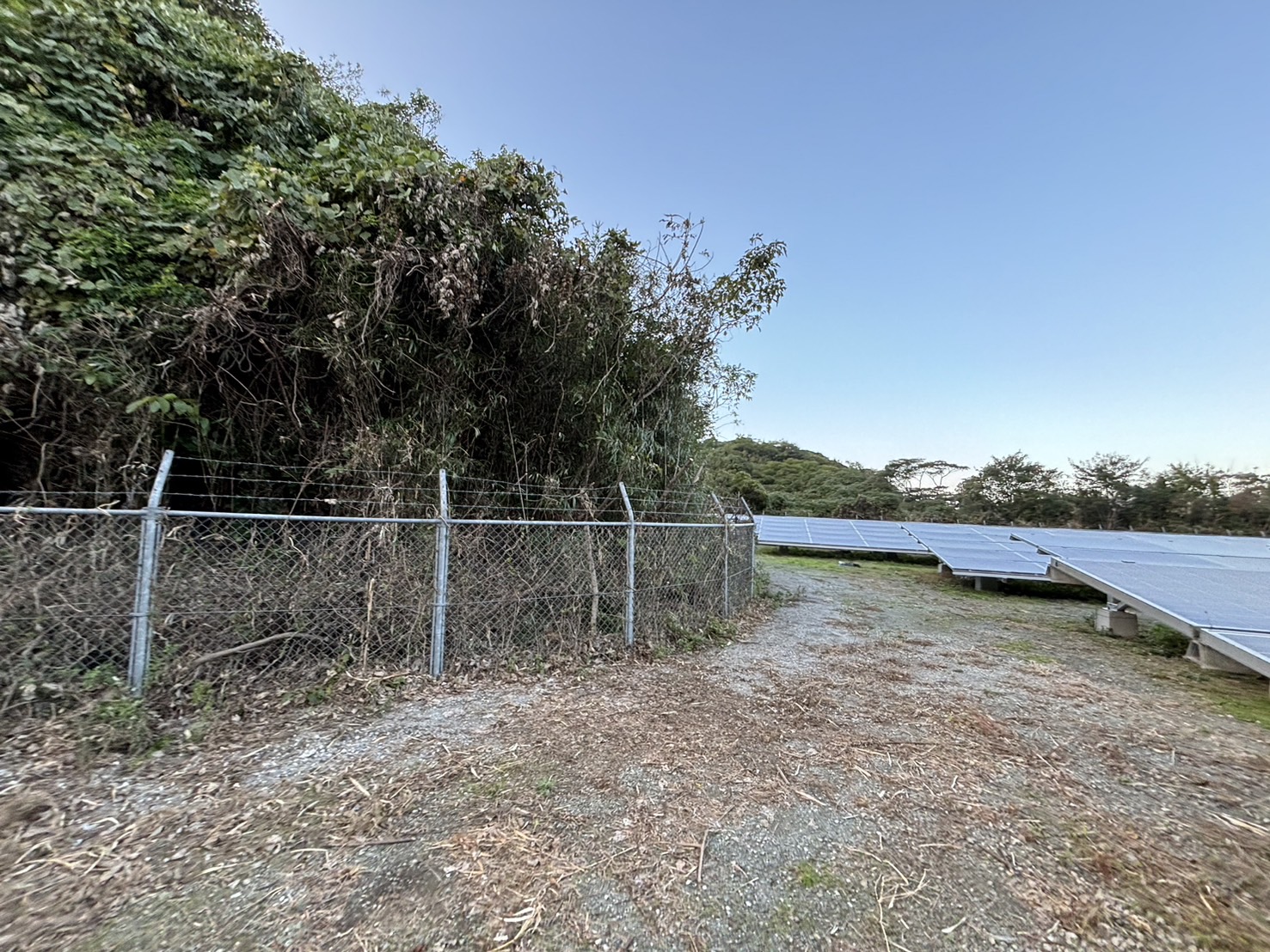 敷地内整備・除草後3