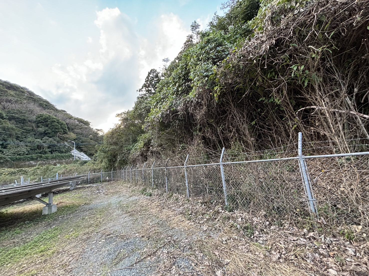 敷地内整備・除草後4